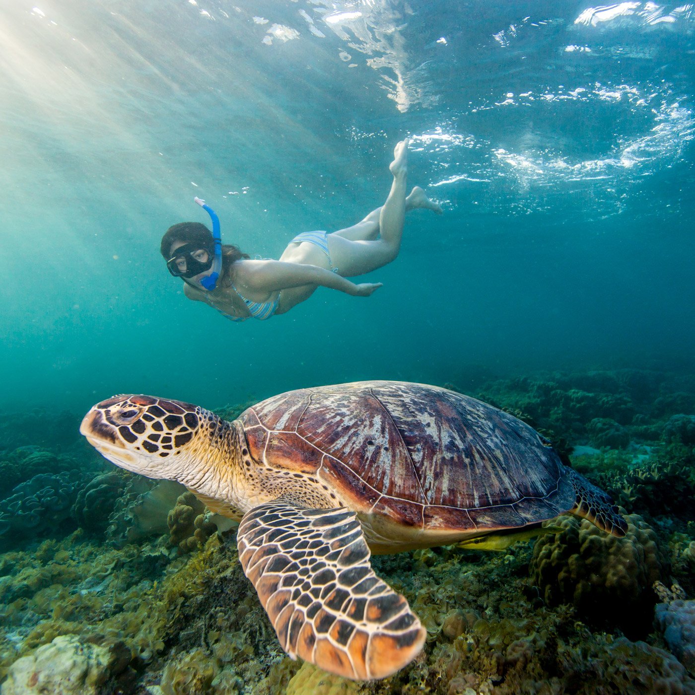 Snorkeling