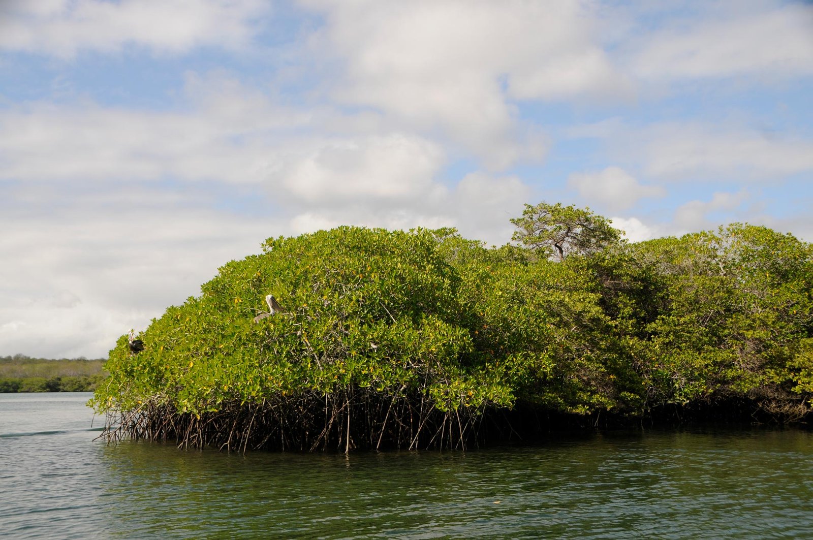 Española Island Day Trip