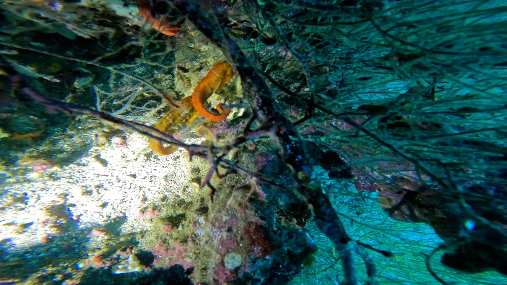 Tour to the Tunnels – Isabela Island