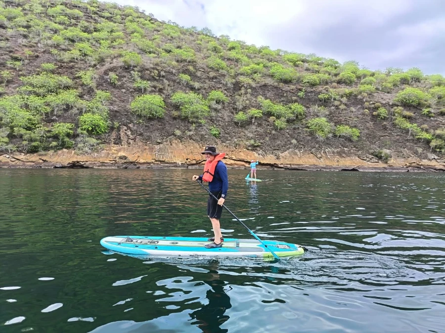 Paddle Board