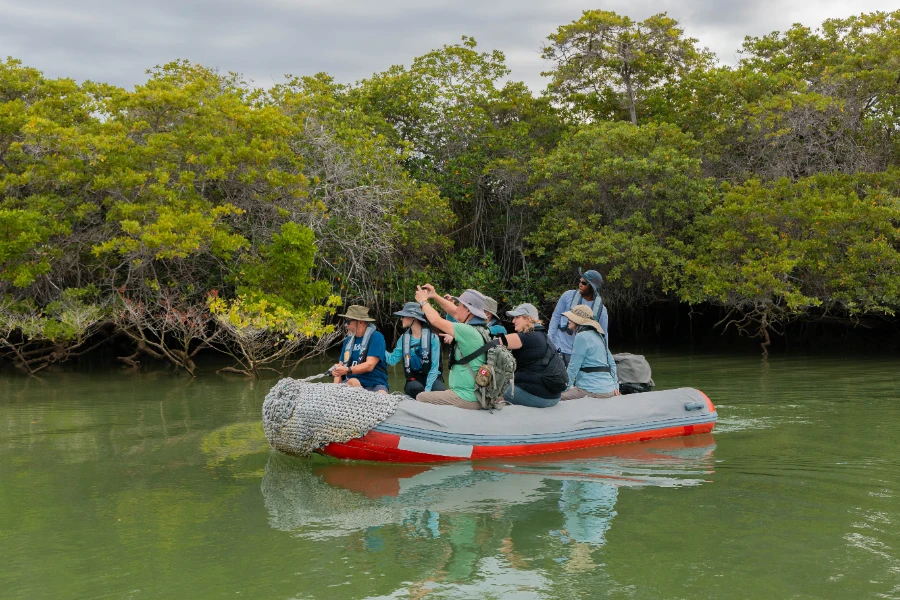 Panga Rides