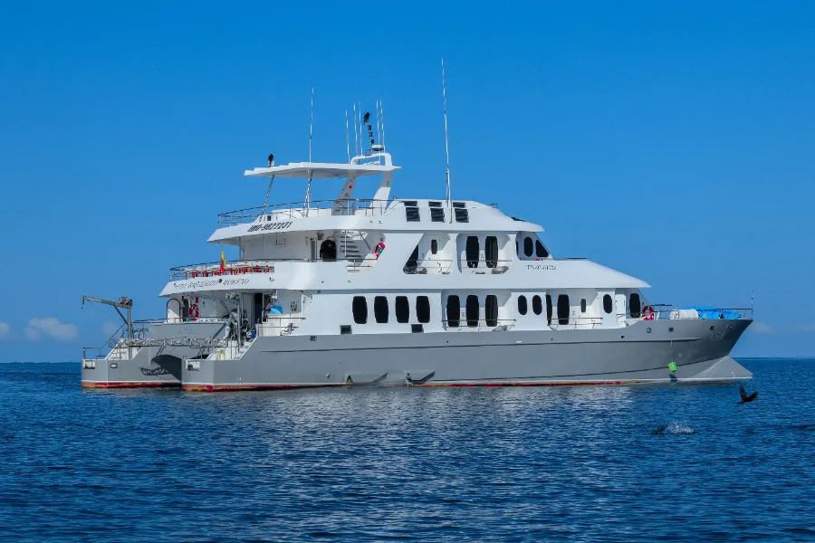 Alya Catamaran — The Yacht