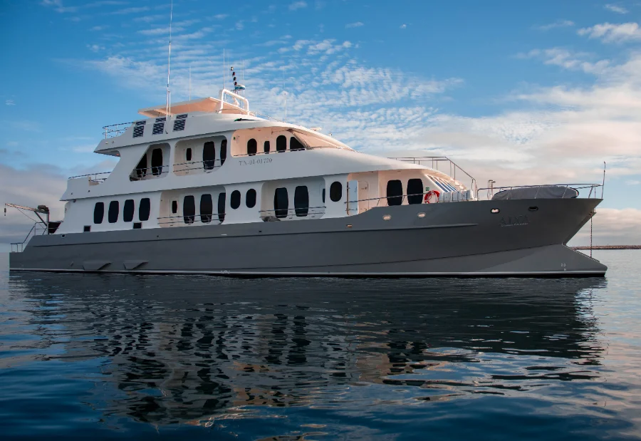 Alya Catamaran — The Yacht