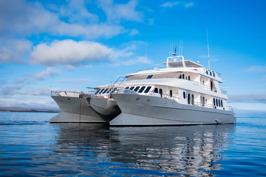 Alya Catamaran — The Yacht