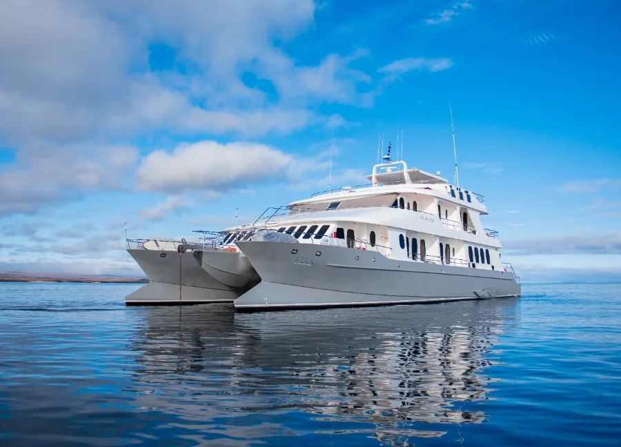 Alya Catamaran — The Yacht