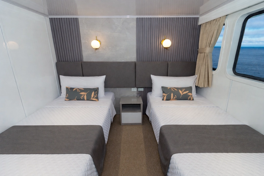 Bonita Yacht — Cabins