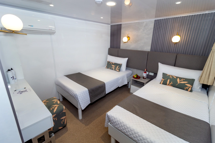Bonita Yacht — Cabins