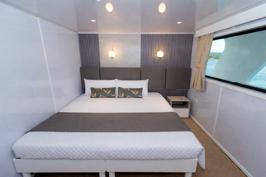 Bonita Yacht — Cabins