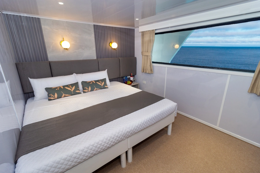 Bonita Yacht — Cabins