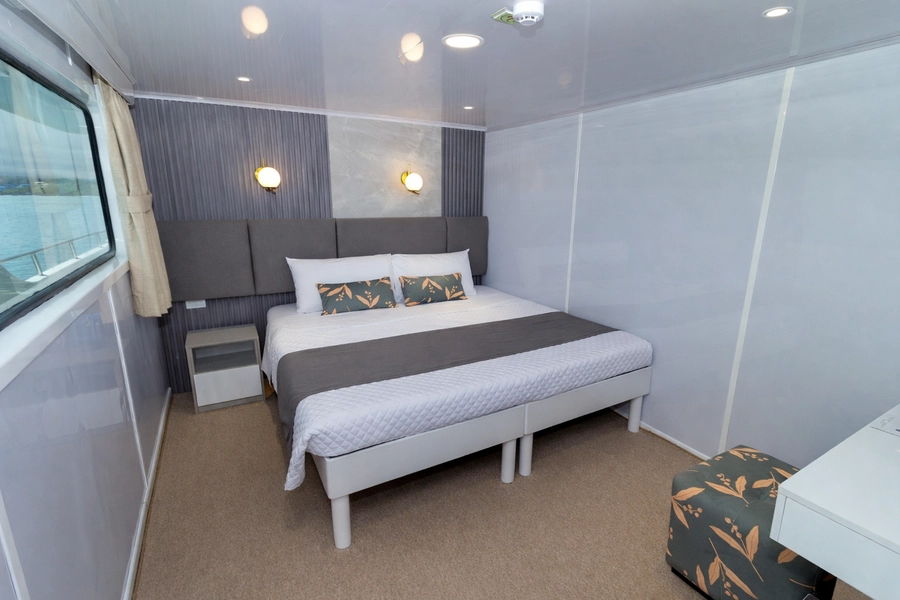 Bonita Yacht — Cabins