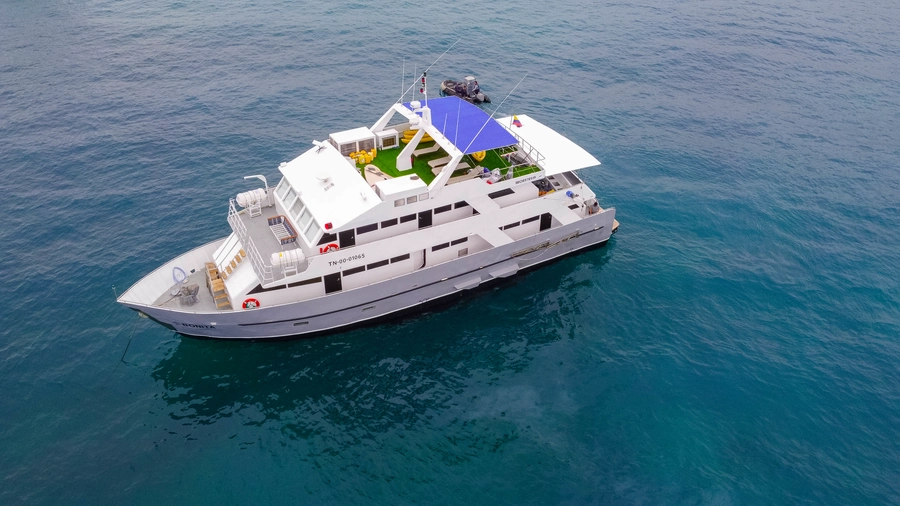 Bonita Yacht — The Yacht