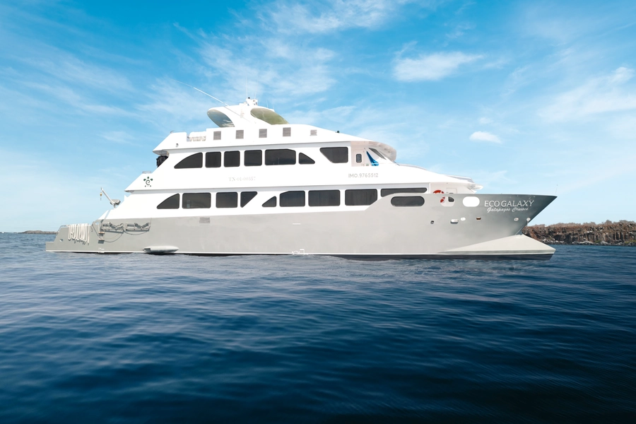 EcoGalaxy Catamaran — The Yacht