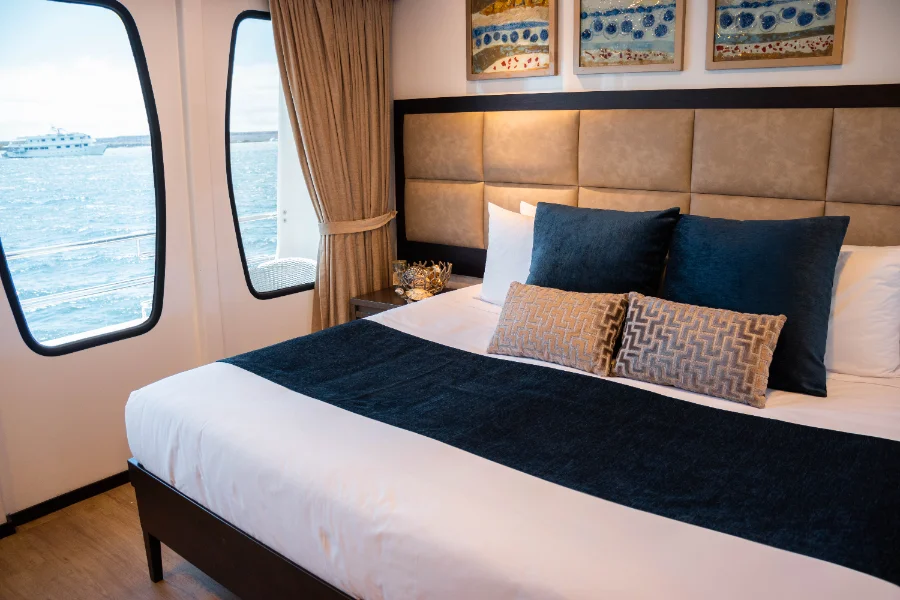 Alya Catamaran — Cabins