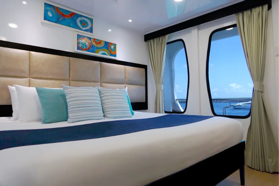 Alya Catamaran — Cabins