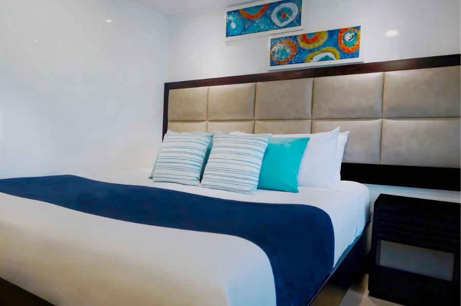 Alya Catamaran — Cabins
