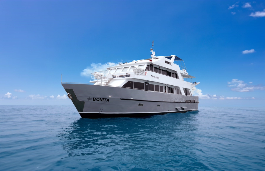 Bonita Yacht — The Yacht