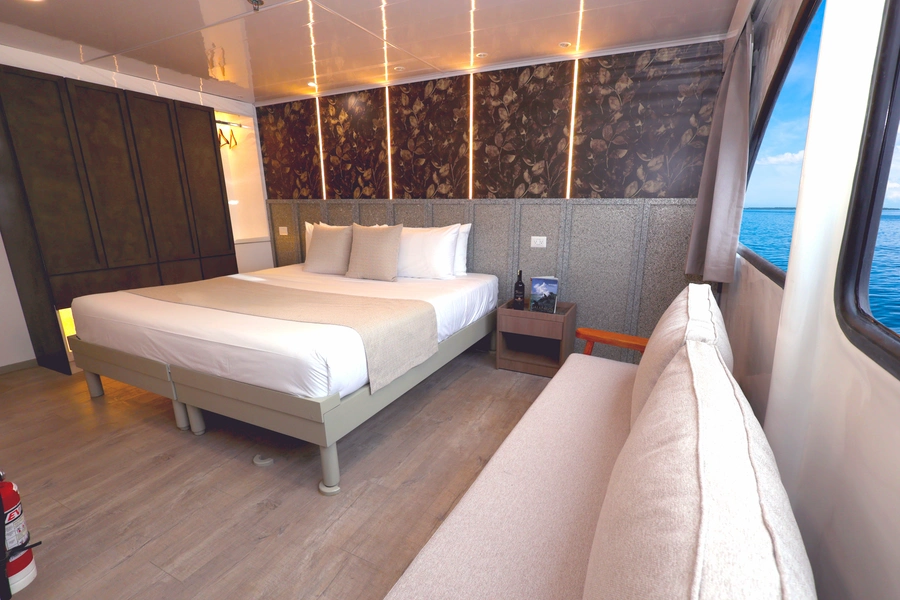 EcoGalaxy Catamaran — Cabins