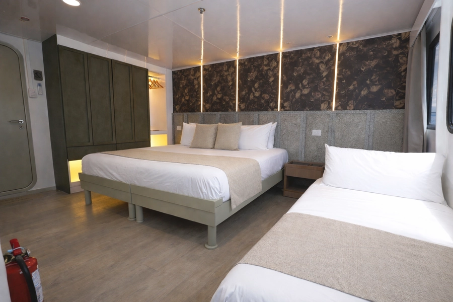 EcoGalaxy Catamaran — Cabins