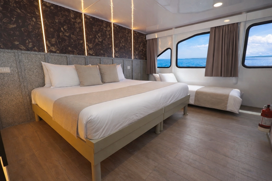 EcoGalaxy Catamaran — Cabins