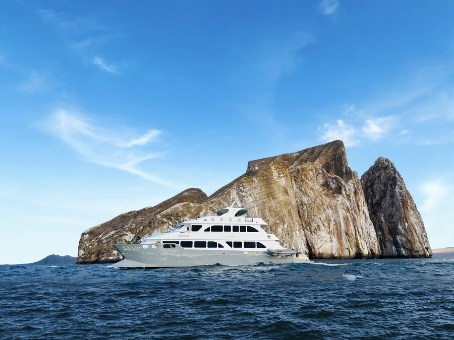 EcoGalaxy Catamaran — The Yacht