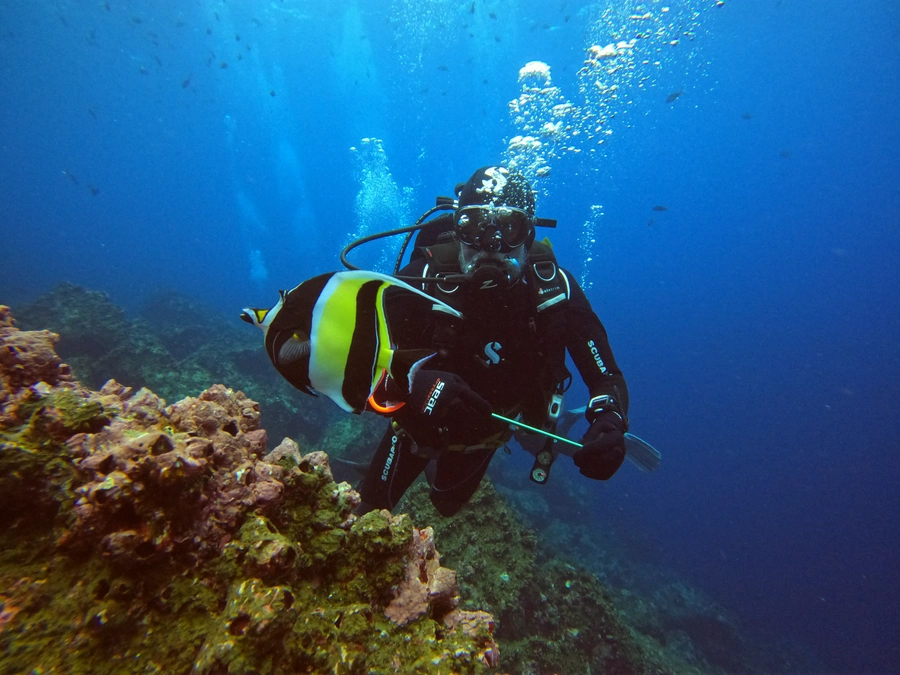 Snorkeling